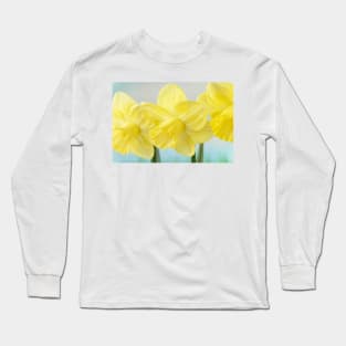 Narcissus  &#39;Avalon&#39;  Daffodil  Division 2 Large-cupped Long Sleeve T-Shirt